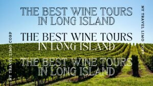 The Best Wine Tours In Long Island