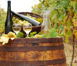 Barrel with wines on top and grapes in a vineyard