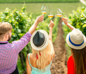 Group of friends toasting with wine glasses in a vineyard