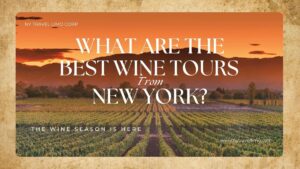 vineyard in New York, What are the best wine tours from New York?