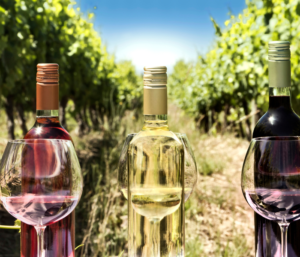 Wine bottles on a barrel in a vineyard field for the best wine tours