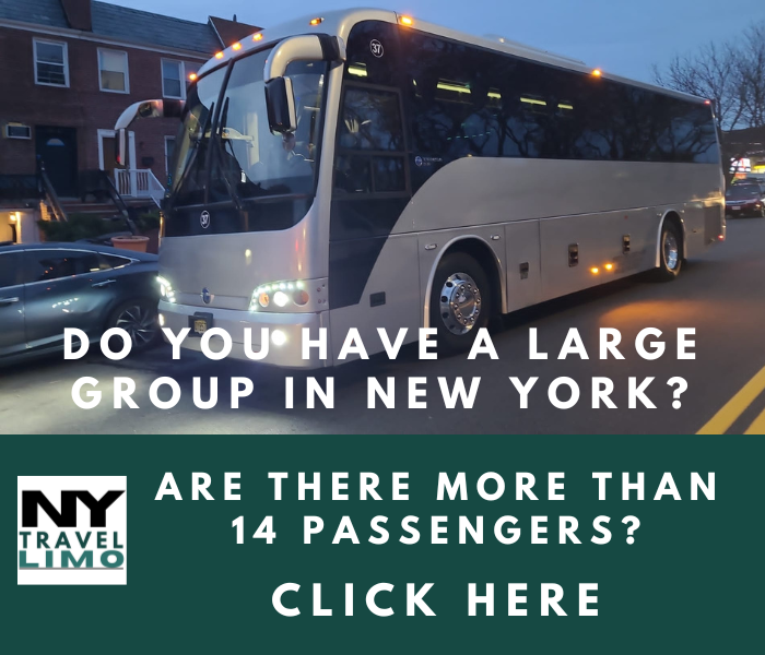 36 Passenger Bus Rentals