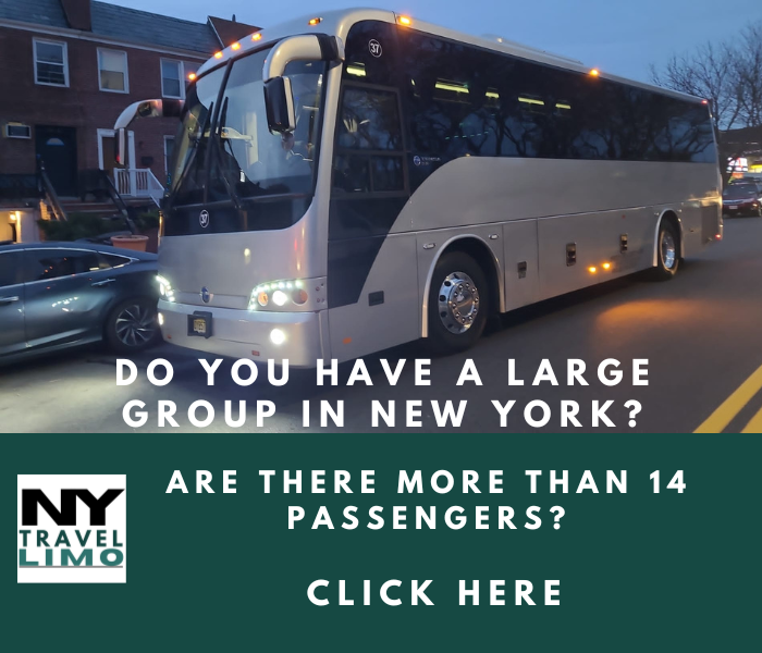 36 Passenger Bus Rentals