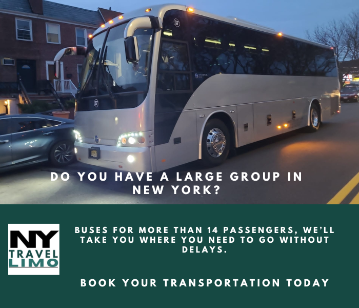 Buses for more than 14 passengers, we’ll take you where you need to go without delays.