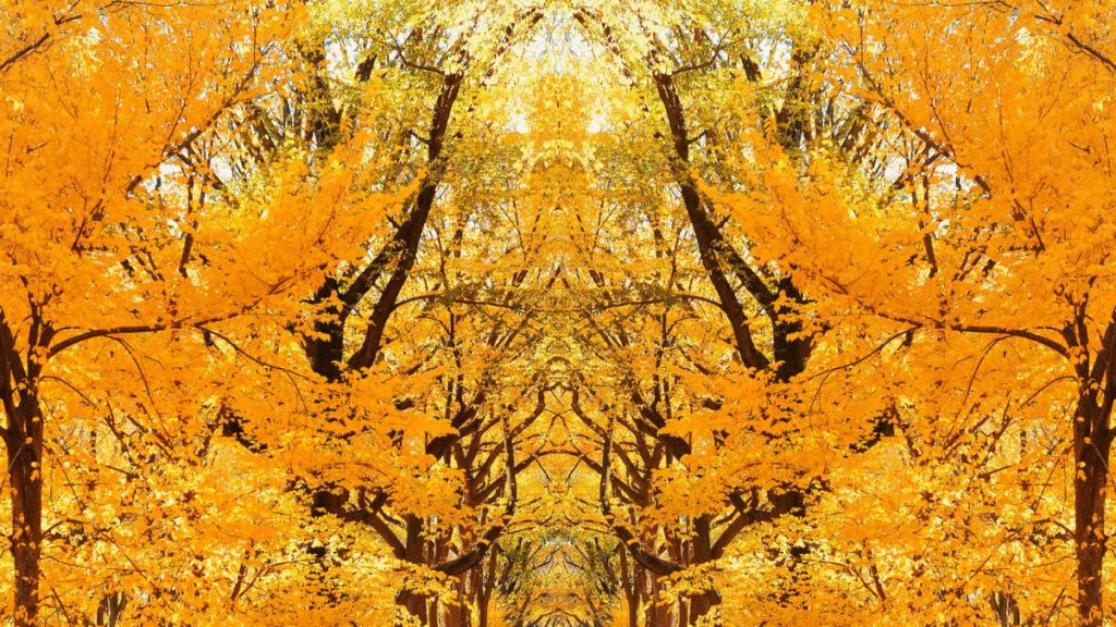 Best October Events in NYC & How to Get There in a Mercedes-Benz Sprinter Van