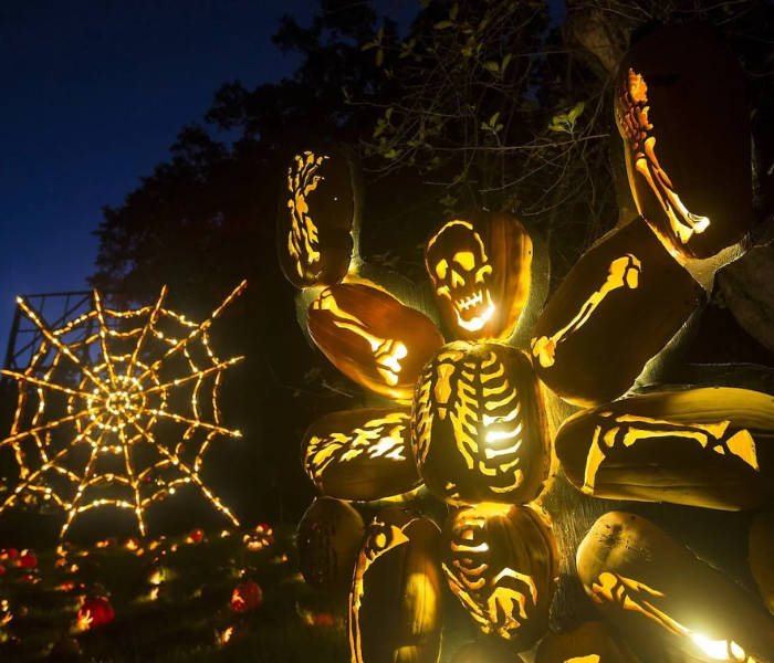 Best October Events in NYC & How to Get There in a Mercedes-Benz Sprinter Van
