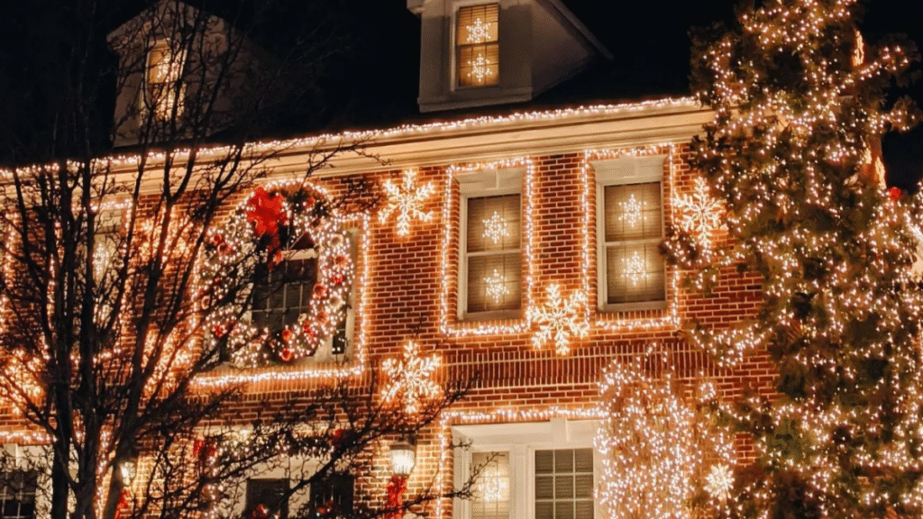 Christmas Lights Tour in New York City: See the Magic from a Sprinter Van