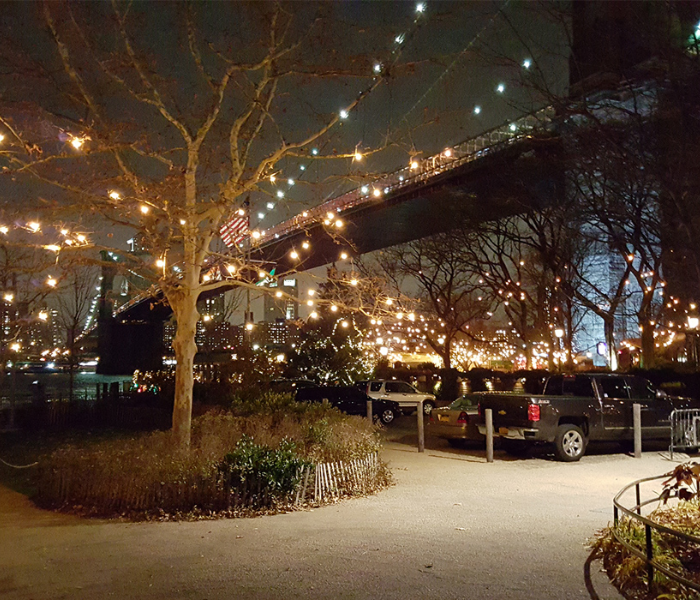 Christmas Lights Tour in New York City: See the Magic from a Sprinter Van